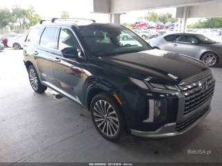 HYUNDAI HYUNDAI PALISADE CALLIGRAPHY