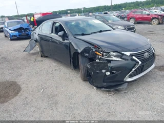 LEXUS LEXUS ES 350
