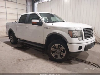 FORD FORD F-150 FX4