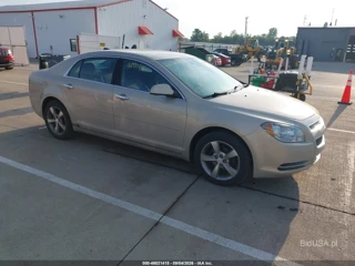 CHEVROLET CHEVROLET MALIBU 1LT