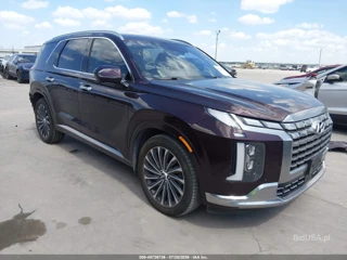 HYUNDAI HYUNDAI PALISADE CALLIGRAPHY