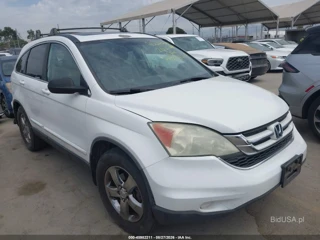 HONDA HONDA CR-V EX-L