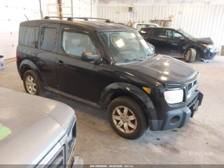 HONDA HONDA ELEMENT EX-P