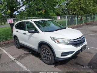 HONDA HONDA CR-V SE