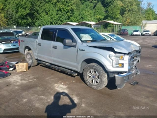 FORD FORD F-150 XLT