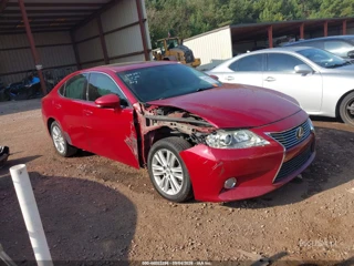 LEXUS LEXUS ES 350