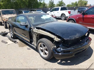 FORD FORD MUSTANG V6