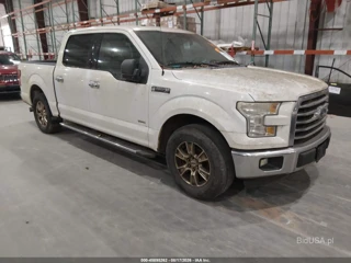 FORD FORD F-150 XLT