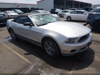 FORD FORD MUSTANG V6/V6 PREMIUM