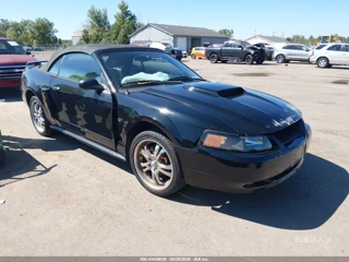 FORD FORD MUSTANG