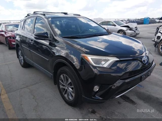 TOYOTA TOYOTA RAV4 HYBRID XLE