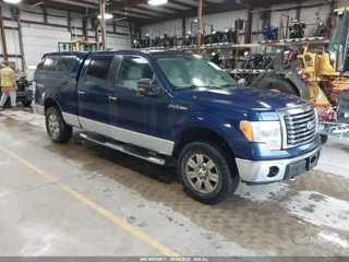FORD FORD F-150 FX4/HARLEY-DAVIDSON/KING RANCH/LARIAT/PLATINUM/XL/XLT