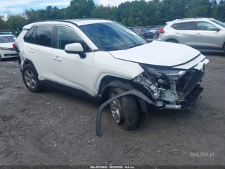 TOYOTA TOYOTA RAV4 XLE