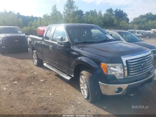 FORD FORD F-150 XLT