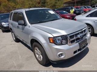 FORD FORD ESCAPE XLT