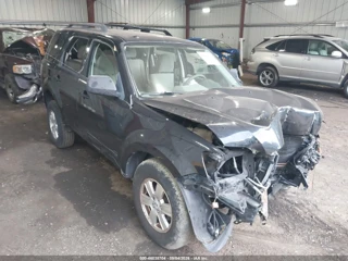 MERCURY MERCURY MARINER