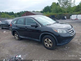 HONDA HONDA CR-V LX