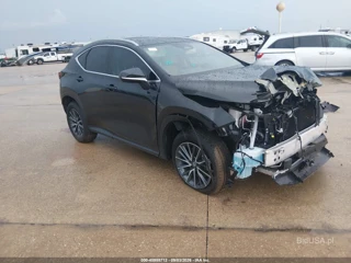 LEXUS LEXUS NX 350 PREMIUM
