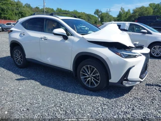 LEXUS LEXUS NX 350