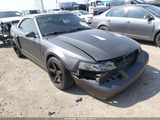 FORD FORD MUSTANG 10TH ANNIVERSARY PACKAGE/COBRA