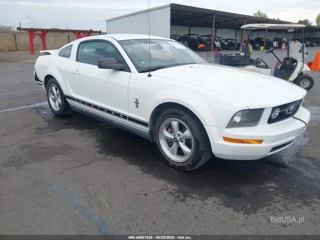 FORD FORD MUSTANG