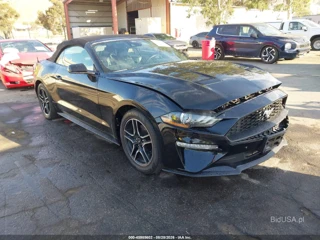 FORD FORD MUSTANG ECOBOOST PREMIUM