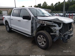 FORD FORD F-150 XLT