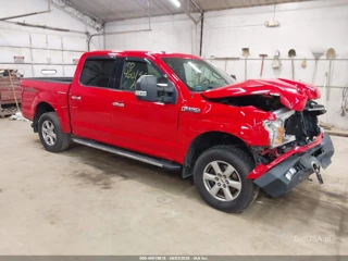 FORD FORD F-150 XLT
