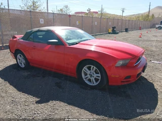FORD FORD MUSTANG V6