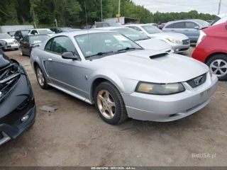 FORD FORD MUSTANG