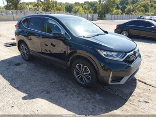 HONDA HONDA CR-V AWD EX-L