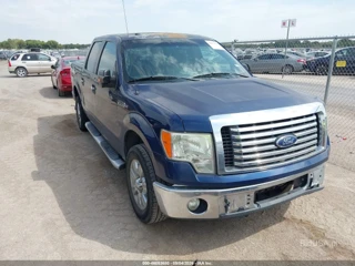 FORD FORD F-150 XLT