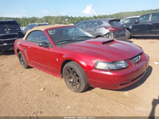 FORD FORD MUSTANG