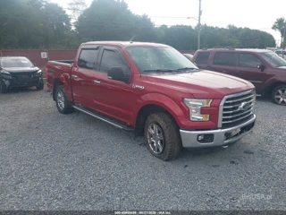 FORD FORD F-150 XLT