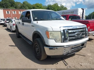 FORD FORD F-150 FX4/KING RANCH/LARIAT/PLATINUM/XL/XLT