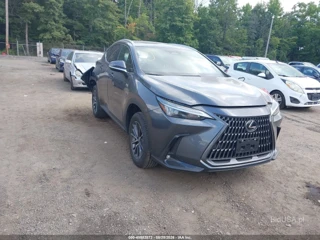 LEXUS LEXUS NX 350 PREMIUM