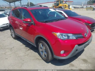 TOYOTA TOYOTA RAV4 XLE