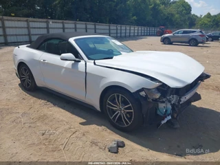 FORD FORD MUSTANG ECOBOOST PREMIUM