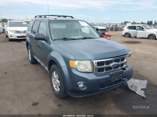 FORD FORD ESCAPE XLT