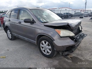 HONDA HONDA CR-V EX