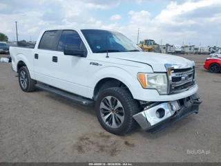 FORD FORD F-150 XLT