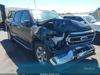 FORD FORD F-150 XLT