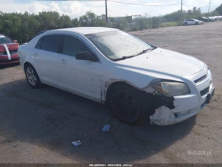 CHEVROLET CHEVROLET MALIBU LS