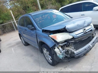 HONDA HONDA CR-V EX