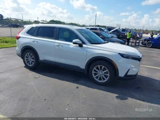 HONDA HONDA CR-V EX AWD