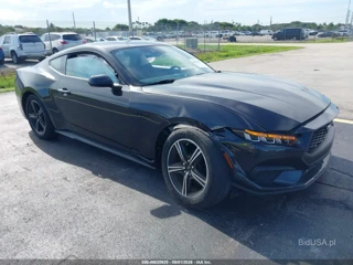 FORD FORD MUSTANG ECOBOOST FASTBACK