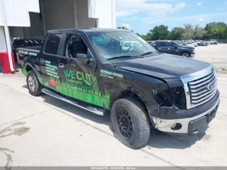 FORD FORD F-150 FX4/HARLEY-DAVIDSON/KING RANCH/LARIAT/PLATINUM/XL/XLT