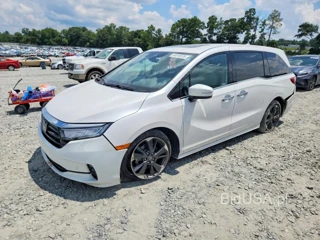 HONDA ODYSSEY ELITE
