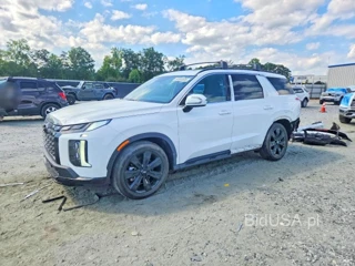 HYUNDAI PALISADE XRT