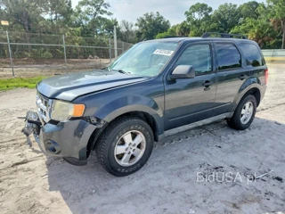 FORD ESCAPE XLT